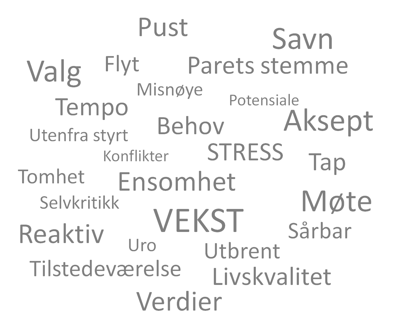 Word cloud med stikkord knytter til min praksis